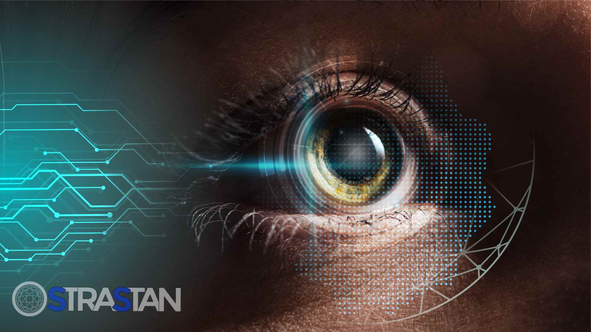 A hand holding a lightbulb containing a globe and people icons, representing the global innovation supported by the AWS Startup Program.